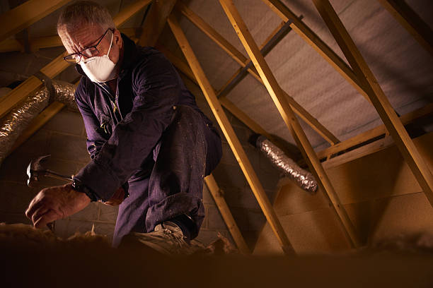 Best Specialized Insulation Services in Miami Gardens, FL