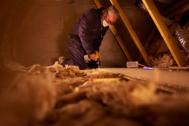 Best Eco-Friendly Insulation in Miami Gardens, FL